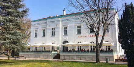 Gallerie Vorschau-Bild